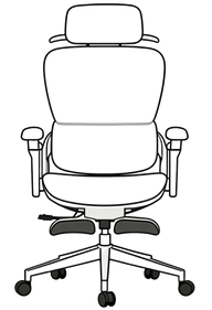 Ergonomic Chair